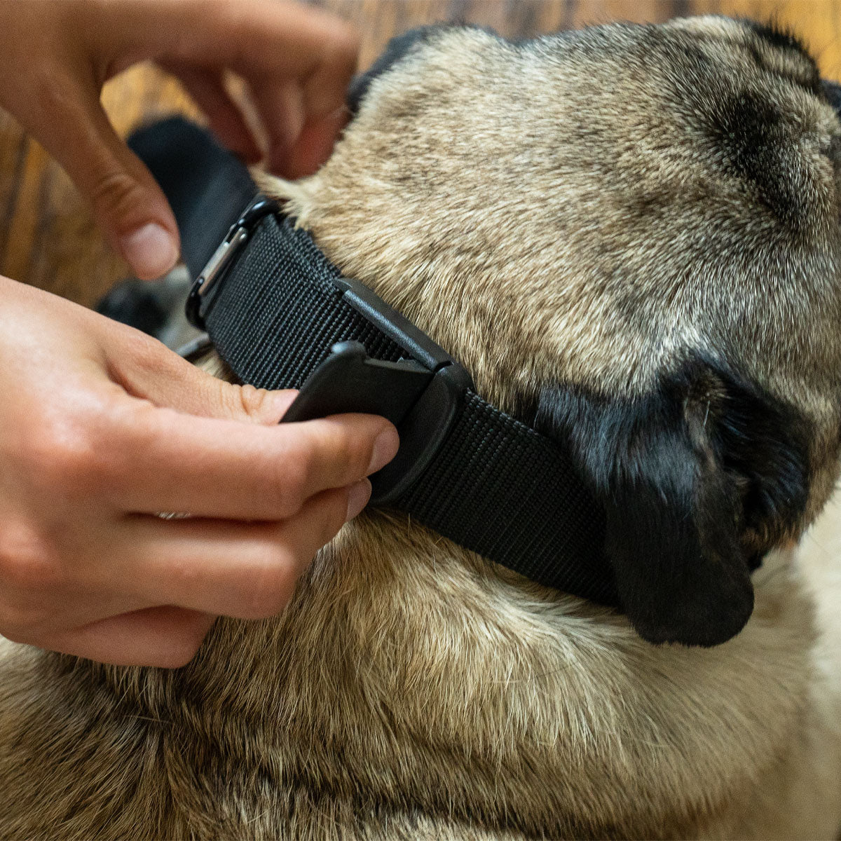 Adjustable Magnetic Dog Collar & Leash - MYCLEVERLIFE