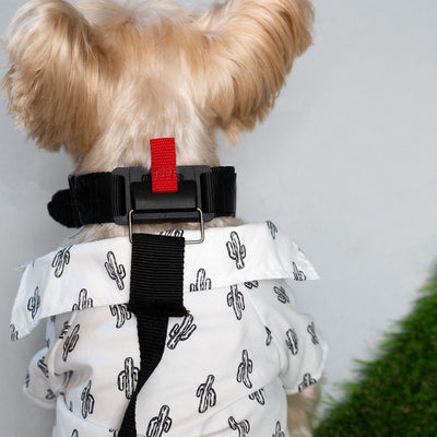 LINKED Magnetic Dog Collar & Leash